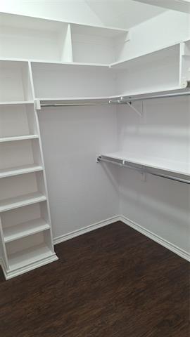 Building Photo - 8241 Mura Dr