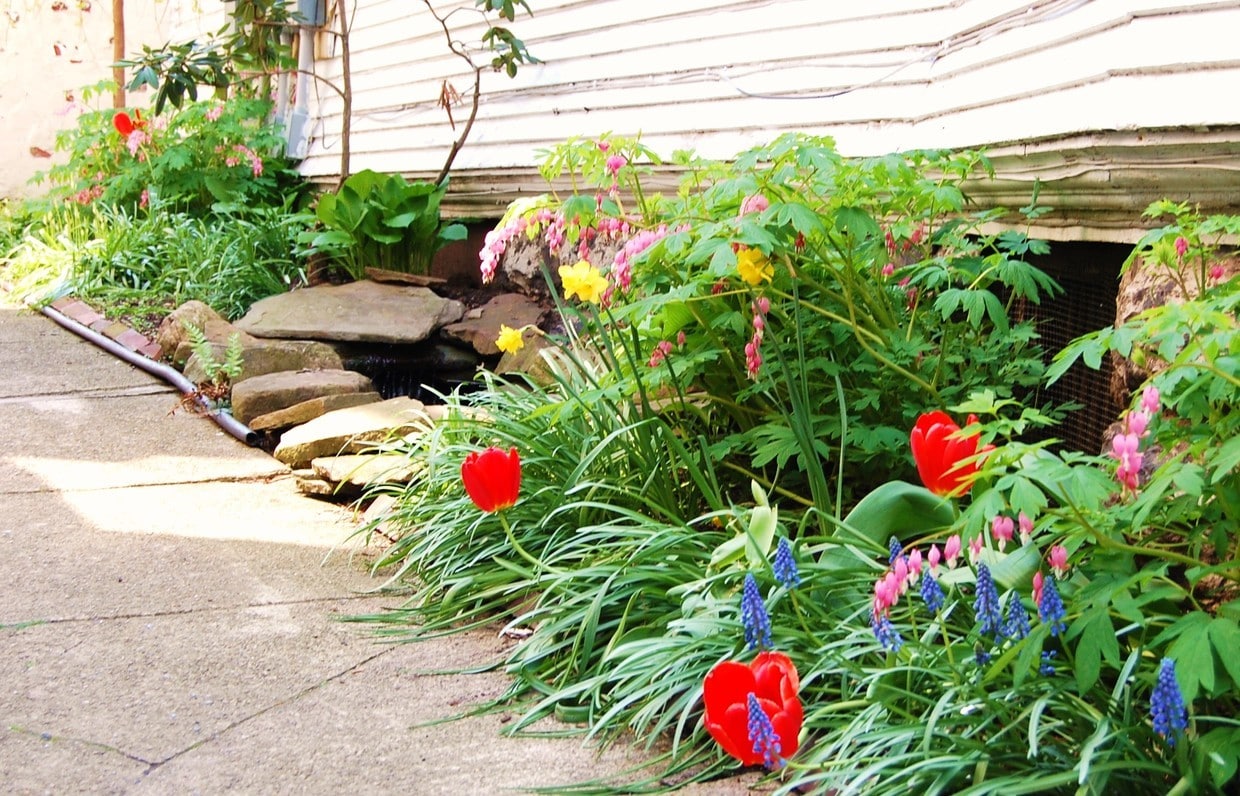 Private courtyard garden with water feature. - 485 Elmwood Ave