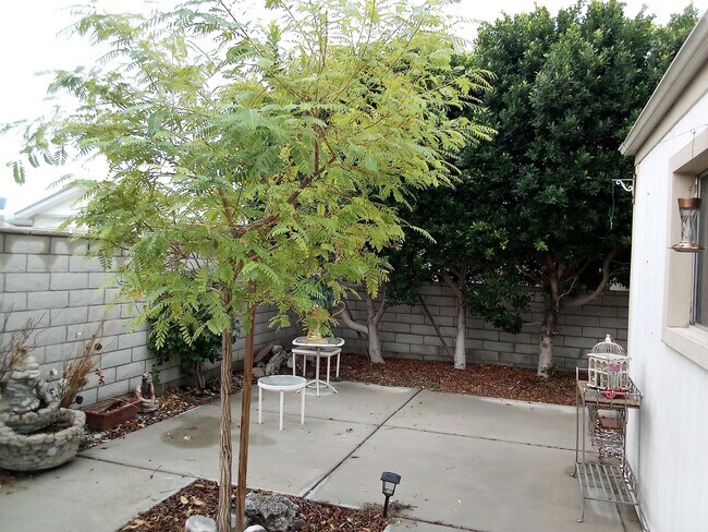 Building Photo - 73185 Palm Greens Pkwy