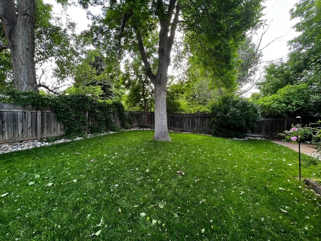 Building Photo - Remodeled 4 Bedroom 2 Bathroom Home in Fort Collins!