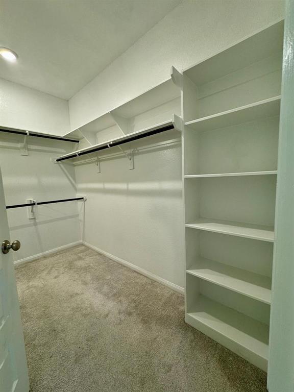 Building Photo - 1804 Ithaca Grv Ln