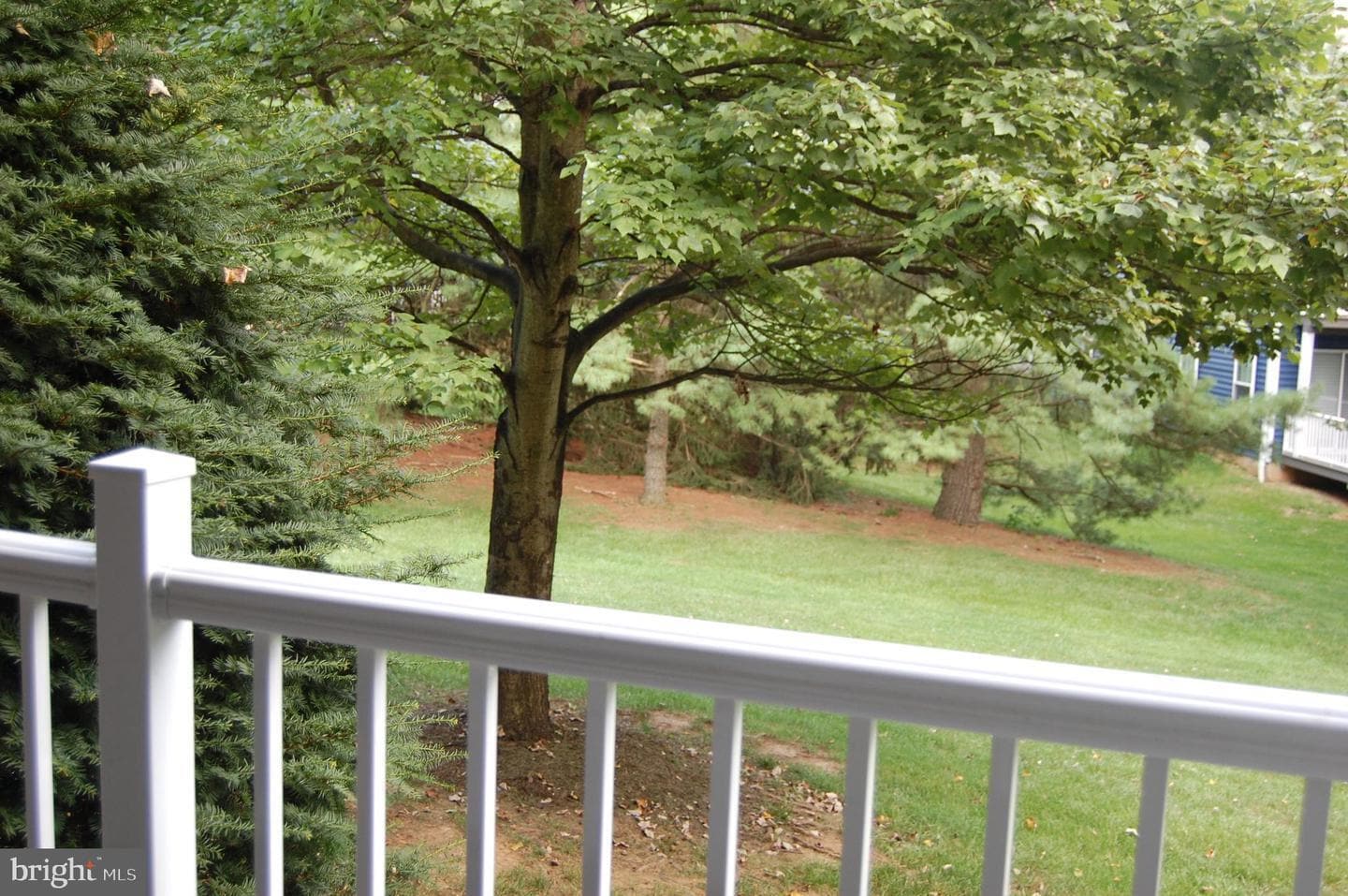 Backyard - 816 Reading Ct