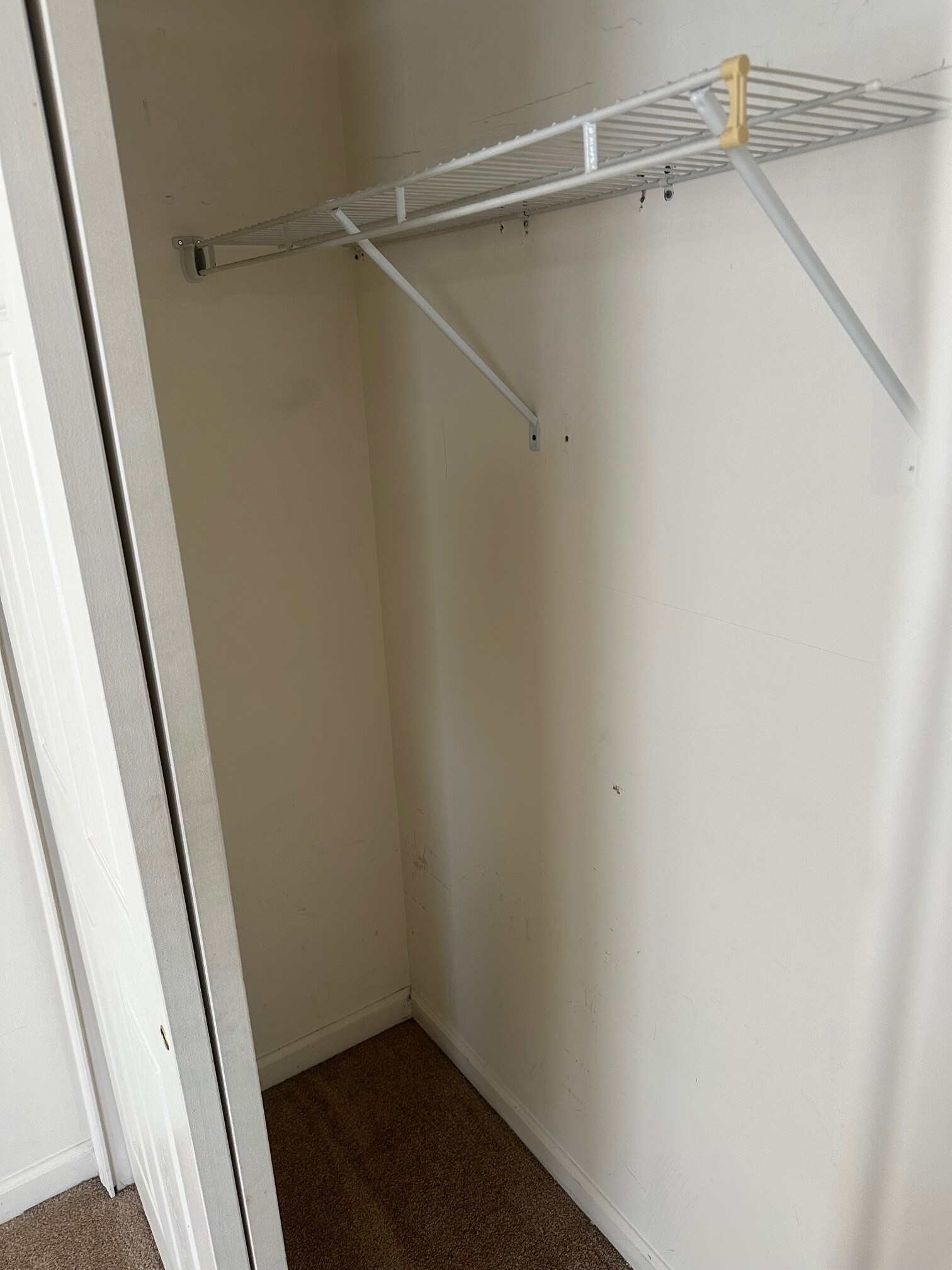 Building Photo - 91 Fuzzy Tail Dr