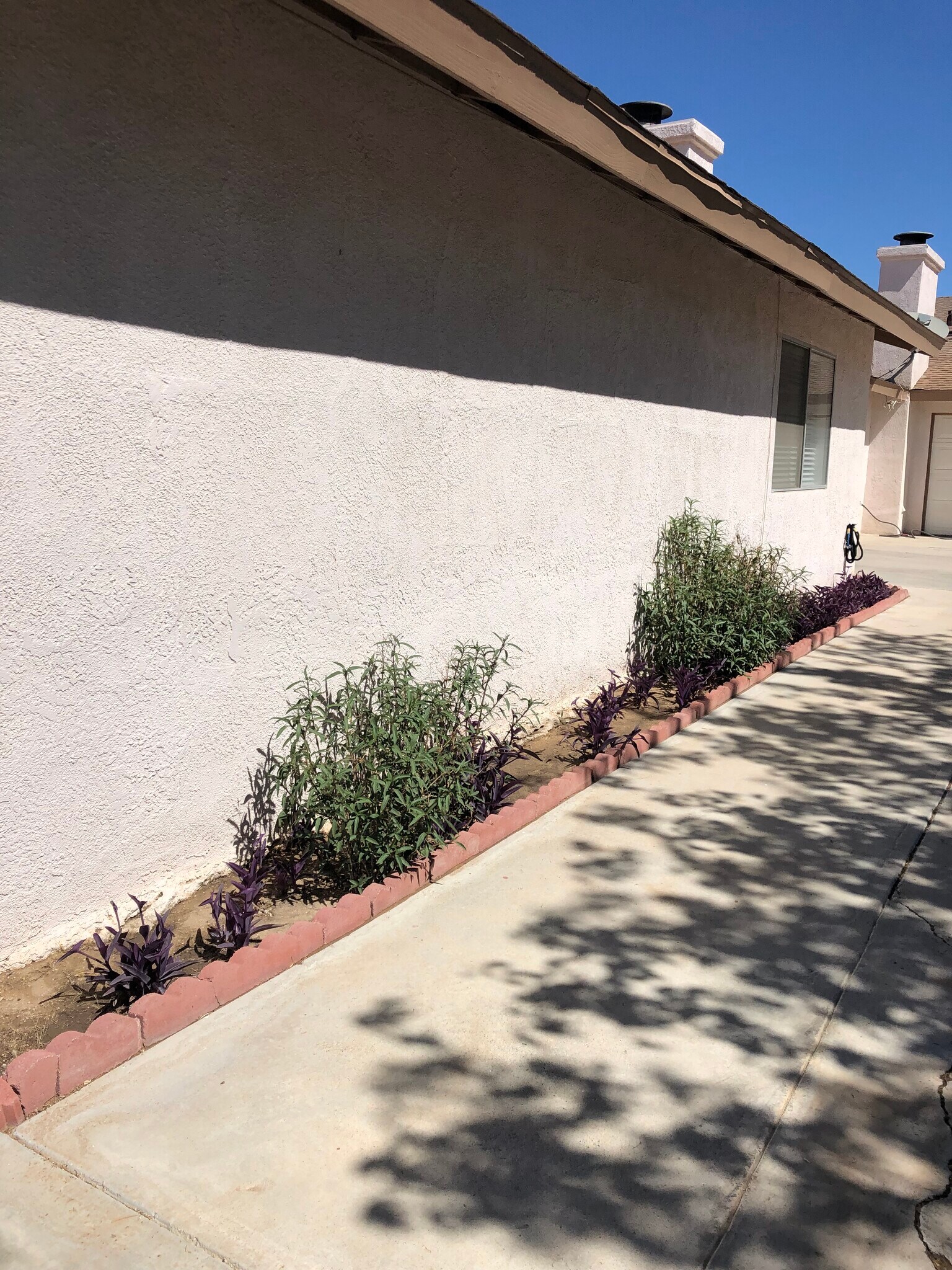 Building Photo - 408 W Felspar Ave
