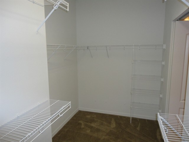 Building Photo - 10209 Tapestry Key Ct