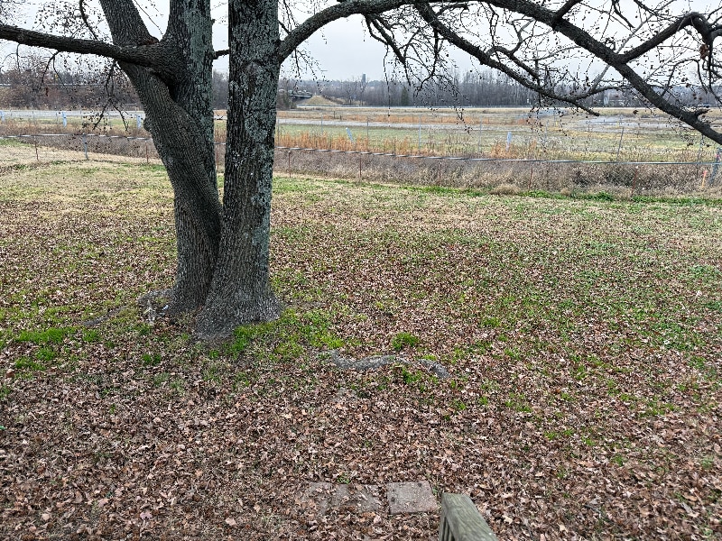 Building Photo - 5407 Alma Hwy