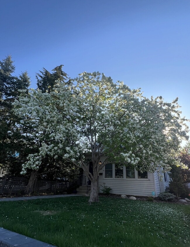 Building Photo - Charming 3-Bedroom Oasis with Elegant Touches & Finished Basement on Washburn Ave!