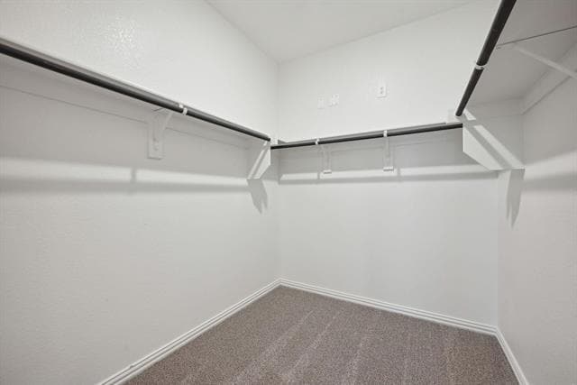 Building Photo - 916 Tulip Trl
