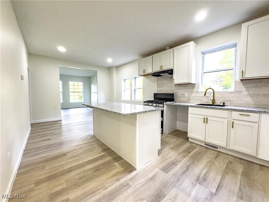 Kitchen - Fridge and Dishwasher Included - 2483 E 89th St