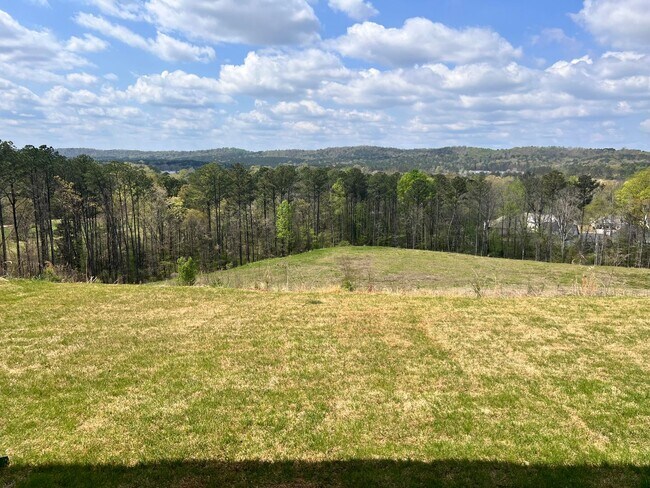 Building Photo - New Construction- One level home with luxurious finishes!