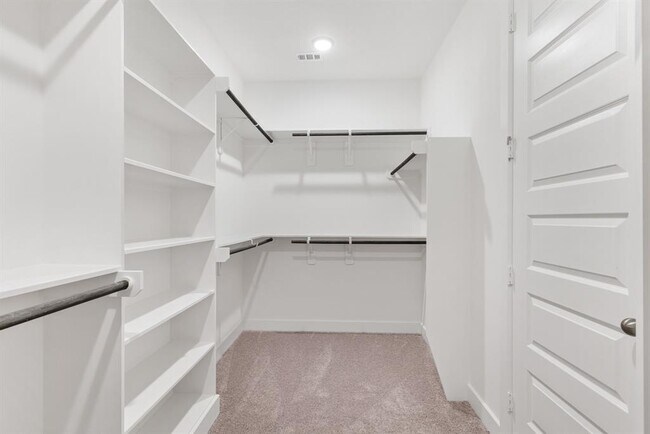 Building Photo - 203 Shining Succulent Dr