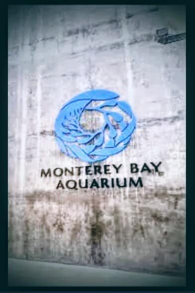 Building Photo - 699 Lottie St