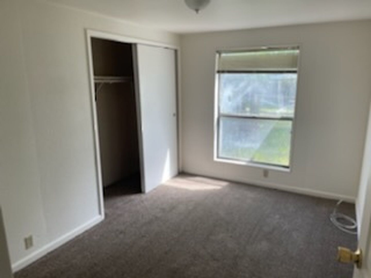 Building Photo - Southshore
