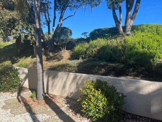 Building Photo - 12836 Via Moura