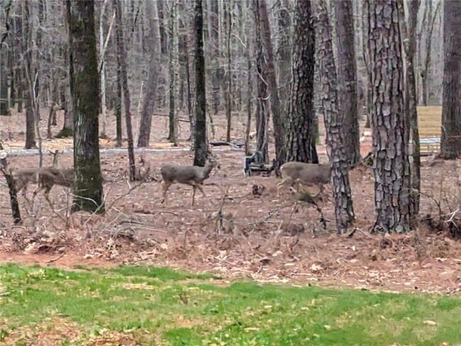 Building Photo - 305 Riverbend Dr