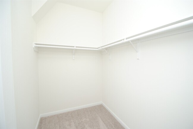 Building Photo - 9207 BetanCourt Ct