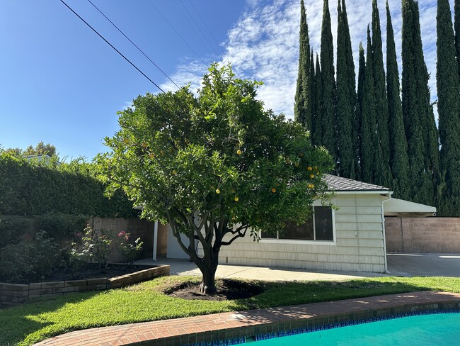 Studio over looks rose garden, fruit trees and pool. - 5182 Woodley Ave