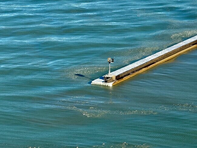 Building Photo - 900 N Lake Shore Dr