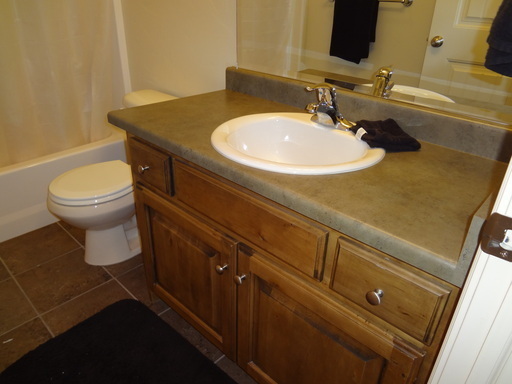 Building Photo - 3 Bed 2 Bath Condo in Silver Pines