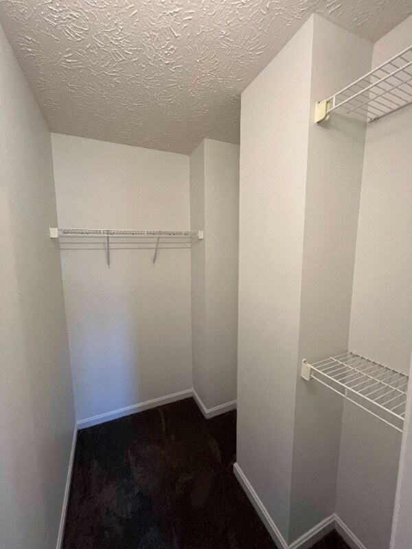 Building Photo - 225 Sherando Cir