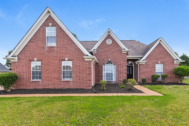 Primary Photo - Comfort & Charm in Olive Branch