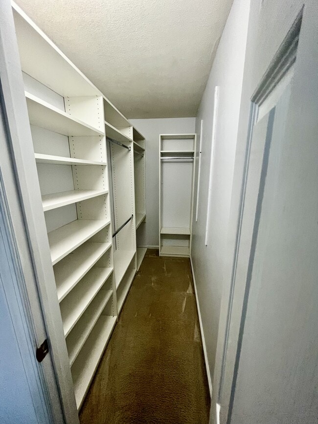 Building Photo - 415 Seahorse Run
