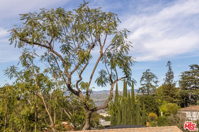 Building Photo - 3424 Primera Ave