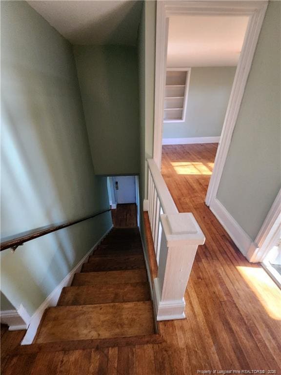 Building Photo - 203 Mike St