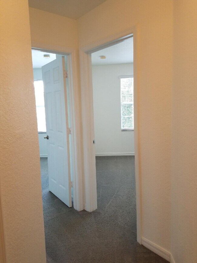 Building Photo - 22138 Majestic Woods Way