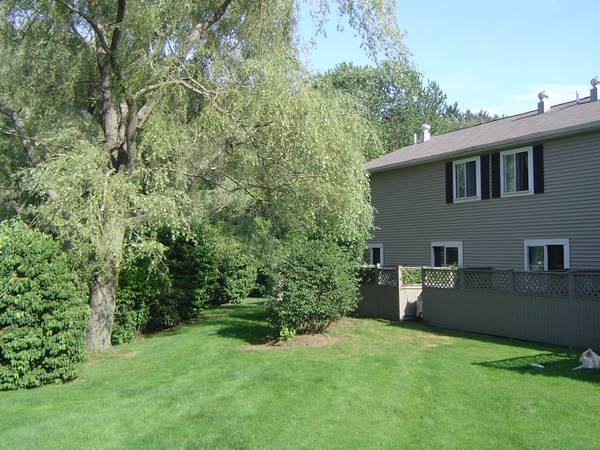 Back yard - 10 Village Brook Ln