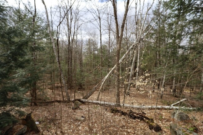 Building Photo - Seasonal 6 Month Lease Available | $1,700.00/ month home in Campton, NH!