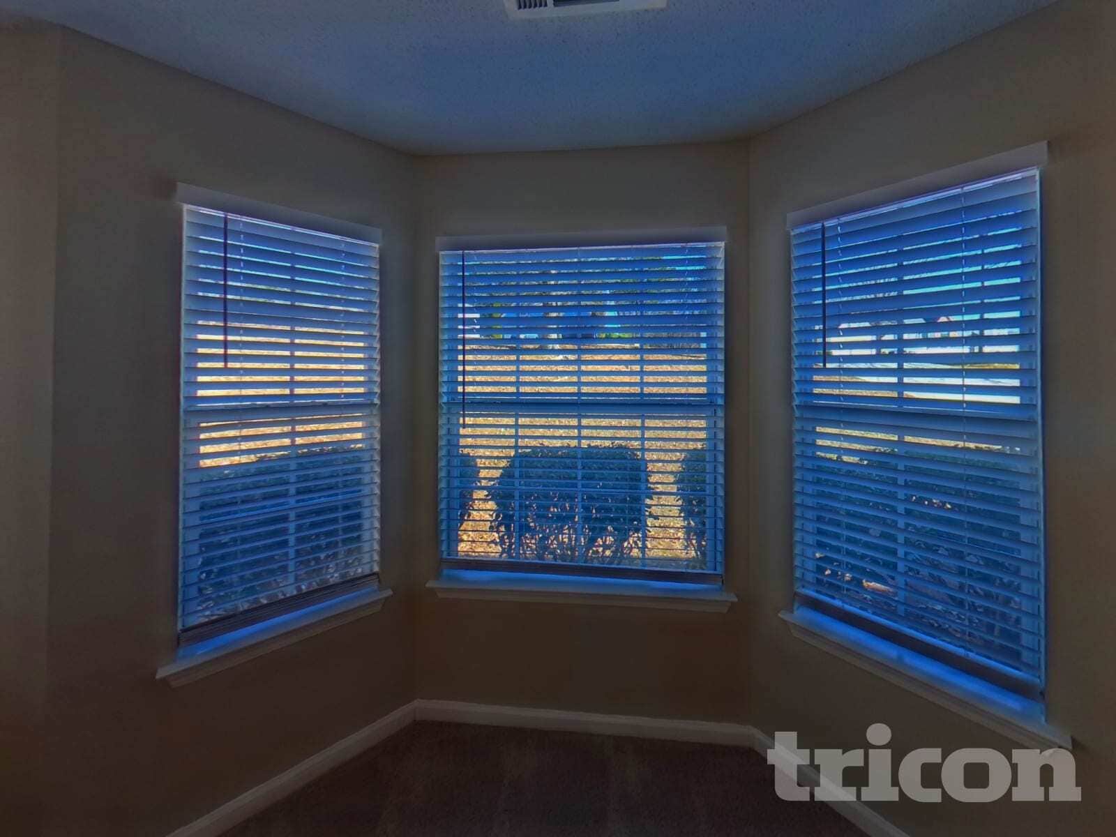 Building Photo - 3529 Craggy Perch