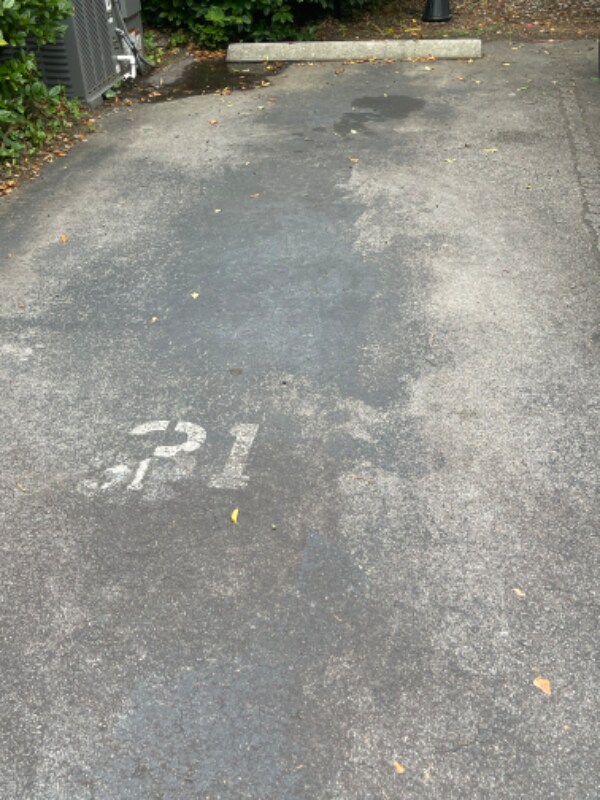 Building Photo - 3407 River Dr