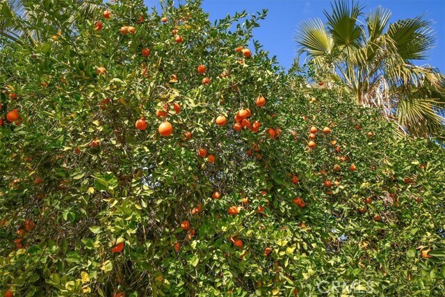 Building Photo - 75270 Palm Shadow Dr