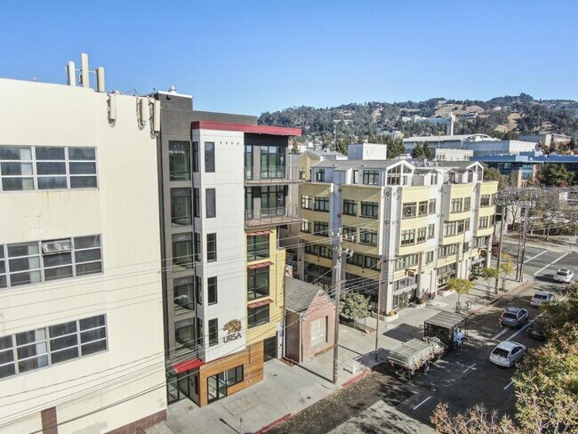 Building Photo - New Contemporary Sunny Apartment With Views