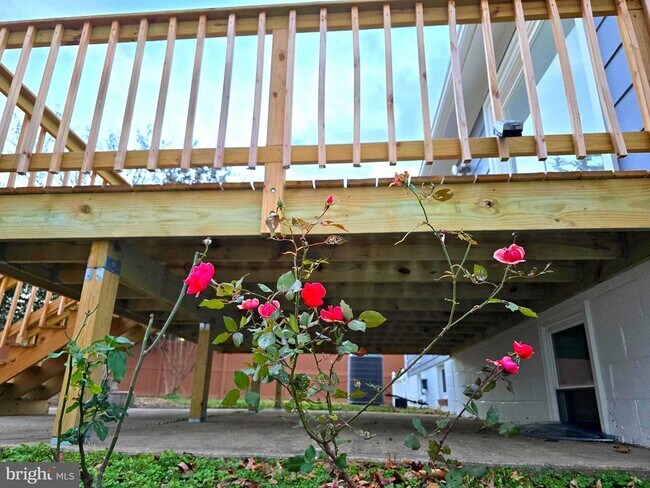 Building Photo - 4813 Lawrence St