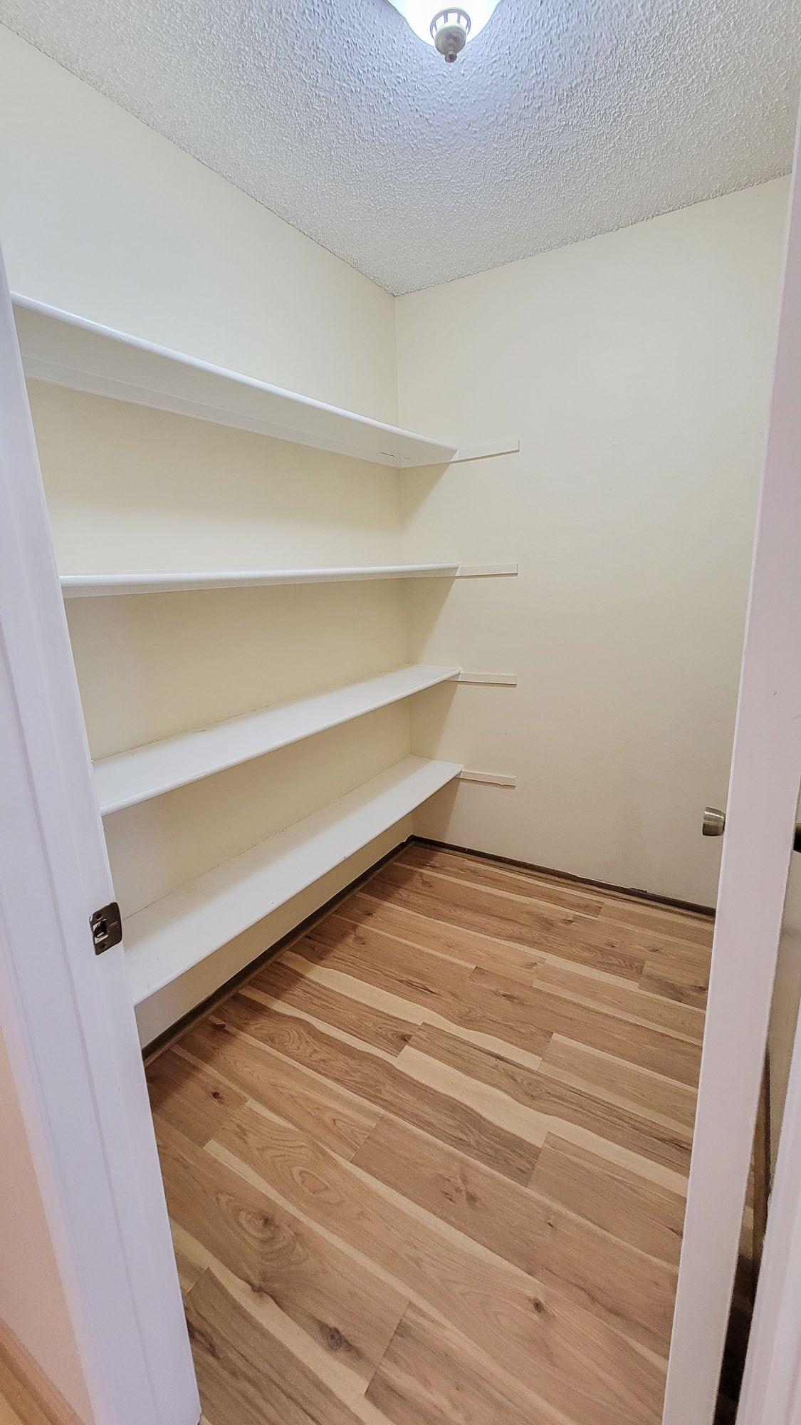 Wallway Closet - 203 Oriole Ct