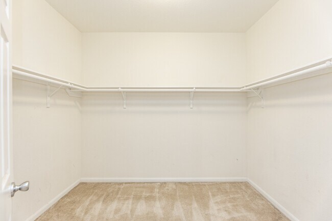 Building Photo - 25342 Briscoe Village Dr