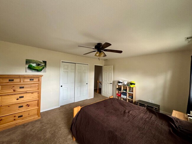 Building Photo - Beautiful home in Black Forest on 2.5 acres