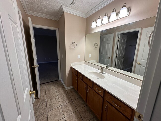 Sink area of Jack & Jill bathroom (2nd floor) - 2231 Whitney Ct