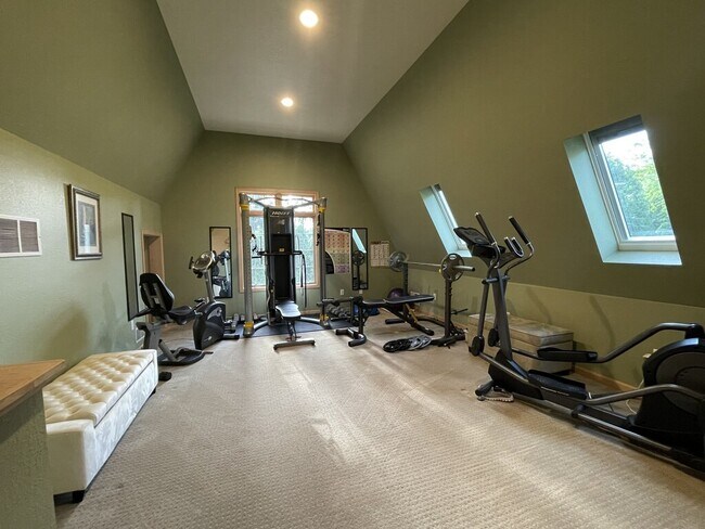 Workout/Media Space - 810 Brinsmere Dr