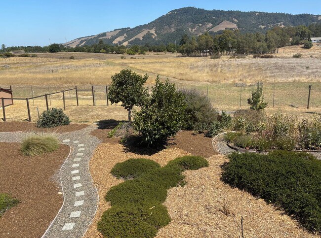 Building Photo - 6 Acres; 3 bedroom 2 bath plus bonus room ...
