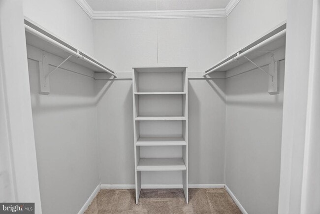 Building Photo - 5915 Tamar Dr