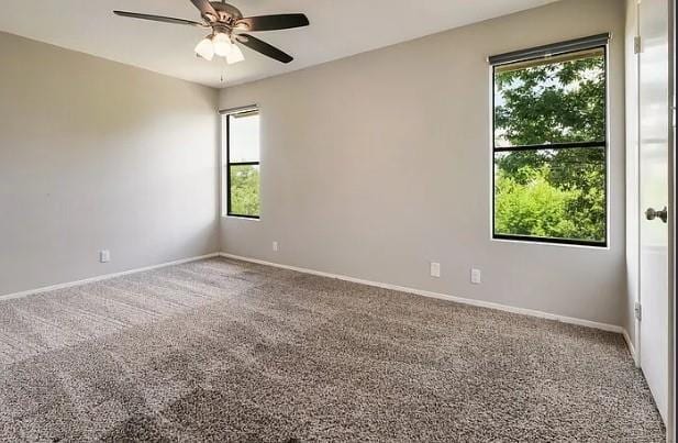 Building Photo - 411 Parkhill Cove