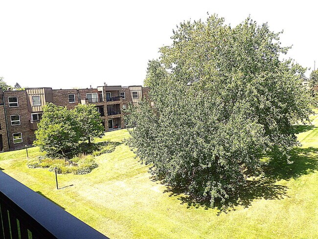 Building Photo - Beautiful 2 Bed | 2 Bath Condo in Roseville