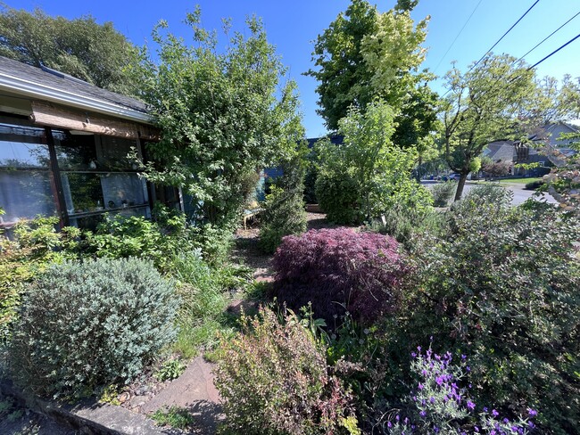 front yard / you window view - 8564 N Richmond Ave