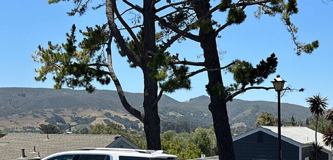 Building Photo - Move-In Ready - 1 BR, 1 BA Unit Utilities Included, $1,950
