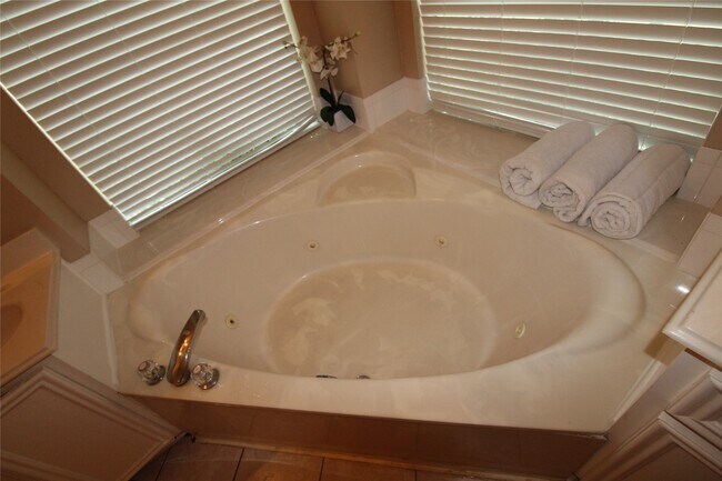 Building Photo - 11406 Oak Lake Vista Ct