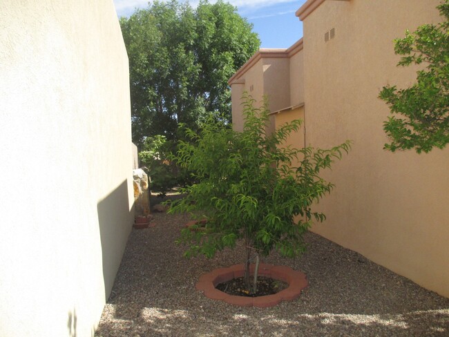 Building Photo - Gorgeous 3 bedroom home in Sonoma Ranch