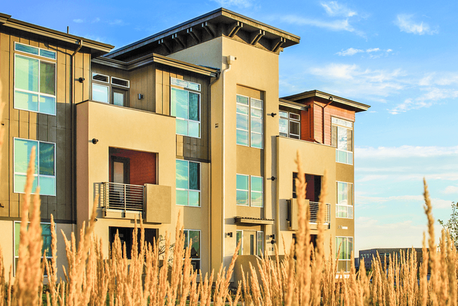 Building Photo - The Aster Town Center (South)